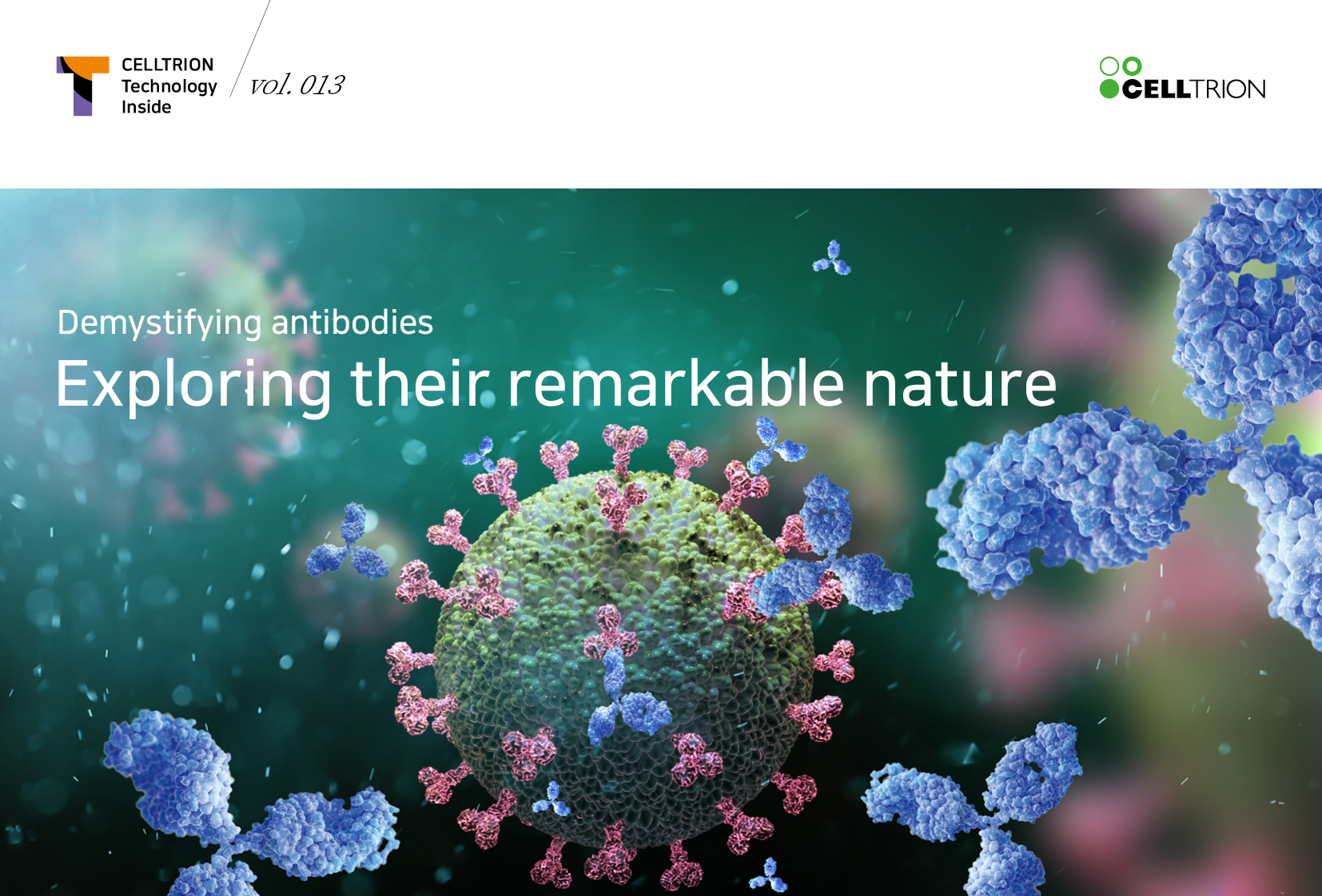 Demystifying Antibodies, exploring Their Remarkable Nature